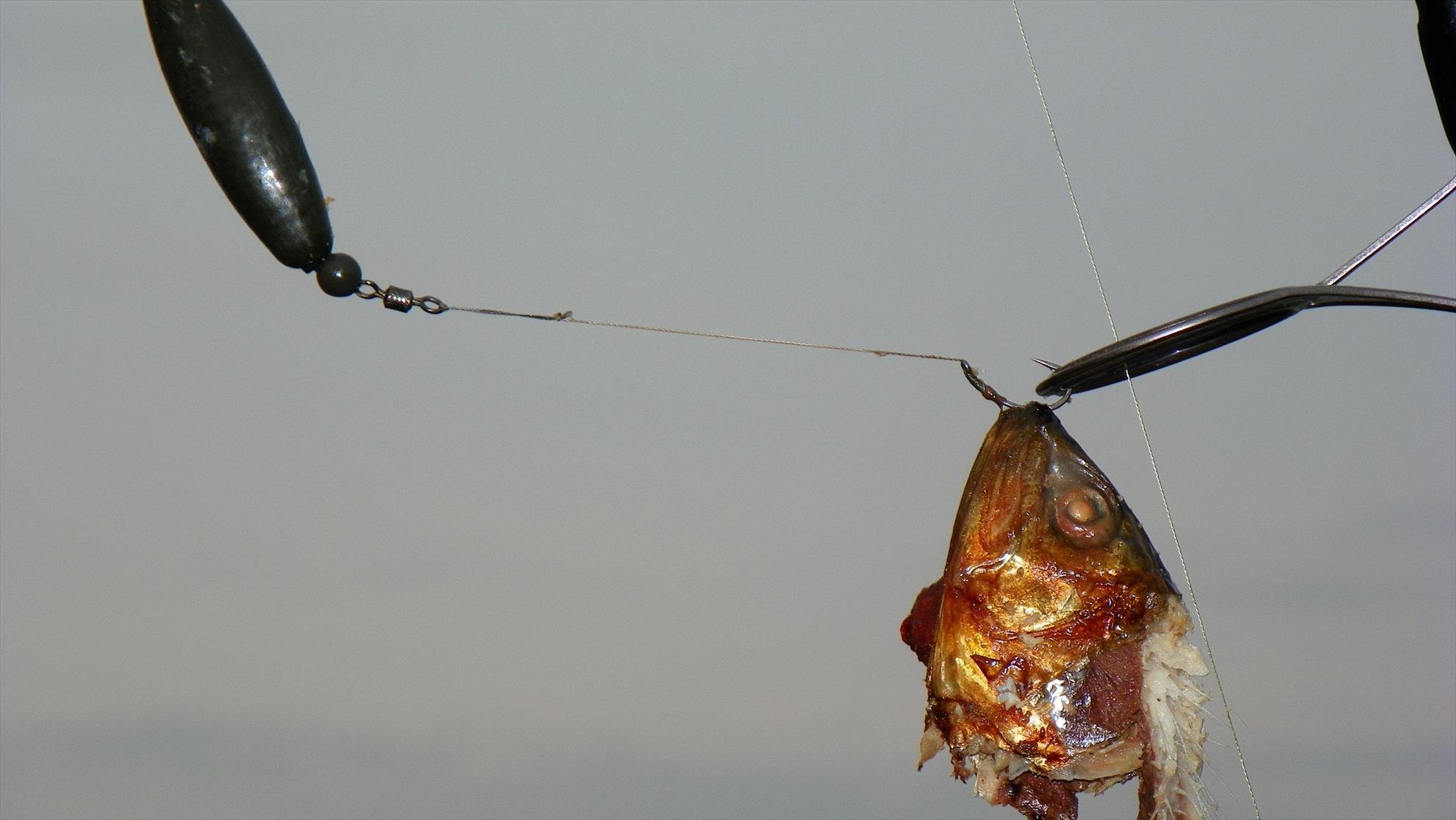 Party Cup 2011 (2)  - 1000211.jpg